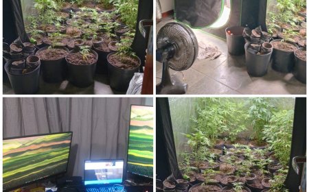 Homem é flagrado por tráfico durante ação da Polícia Civil no Sul de Minas