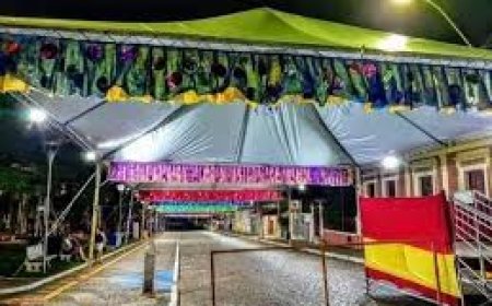 Além de Guaranésia, outras cidades do Sul de Minas também cancelam o Carnaval