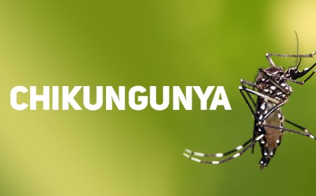 Em Arceburgo, idosa de 85 anos é a primeira pessoa a morrer por Chikungunya em Minas neste ano