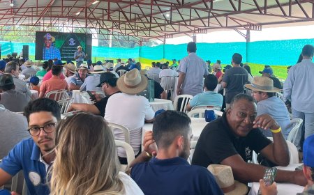 Movimento Coffee Brazil: a revolução da cafeicultura técnica chega em sua segunda edição