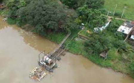 Cerca se rompe e búfalas morrem afogadas no Ribeirão Bocaina, em Passos