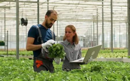 Bolsas de R$ 5 mil: Sebrae Minas vai selecionar agentes para o programa ALI Rural em Passos, Guaxupé e São Sebastião do Paraíso