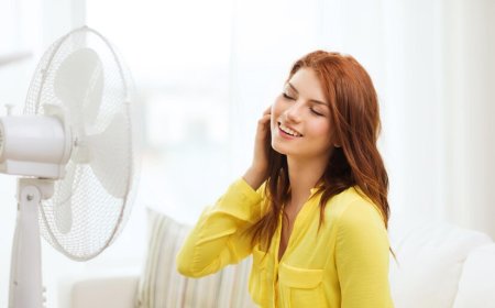 Onda de calor: confira dicas da Cemig para refrescar o ambiente sem pesar no bolso