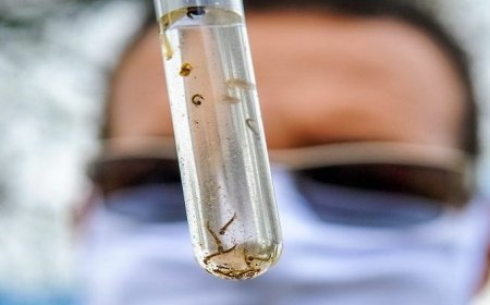 Guaxupé está entre as cidades do Sul de Minas com mais casos confirmados de Dengue