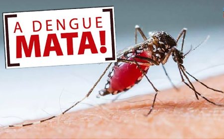 Sul de Minas registra 1ª morte com suspeita de dengue em Monte Santo