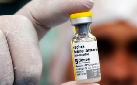 Ministério da Saúde distribui 250 mil doses extras de vacina contra febre amarela em Minas Gerais
