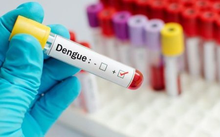 Idosa de 70 anos é a primeira vítima da Dengue no Sul de Minas