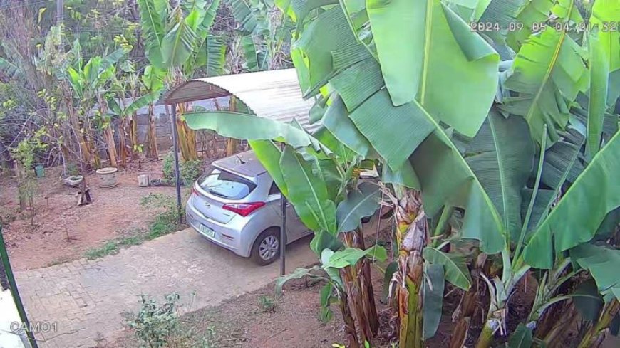 Imóvel à venda no N.S. das Dores, em Guaxupé