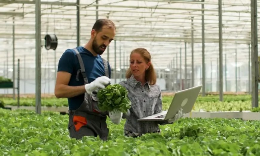 Bolsas de R$ 5 mil: Sebrae Minas vai selecionar agentes para o programa ALI Rural em Passos, Guaxupé e São Sebastião do Paraíso