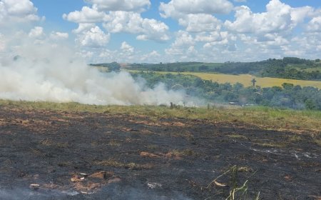 Curto circuito na rede elétrica causa incêndio em vegetação em Guaranésia