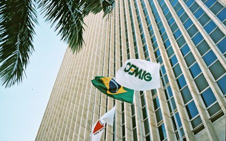 Cemig é classificada como uma das 40 empresas mais limpas do mundo