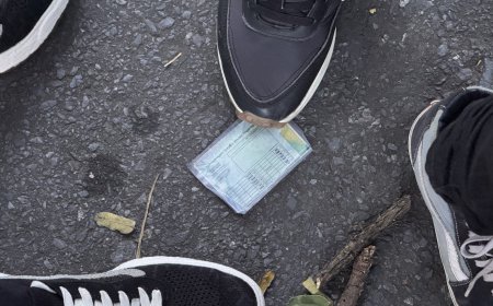 Perdeu documentos durante o Carnaval? Saiba como solicitar a segunda via nos canais oficiais do Governo de Minas