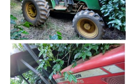 Tratores furtados no Sul de Minas foram encontrados em cafezal pela Polícia Civil