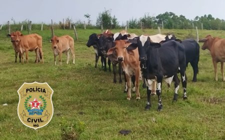 Homem de 35 anos é preso pela Polícia Civil por furto de gado no Sul de Minas