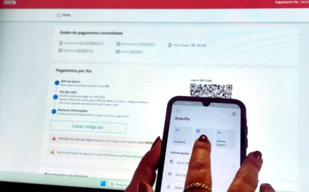 Arrecadação via Pix simplifica o pagamento de impostos e taxas estaduais pelos contribuintes de Minas Gerais