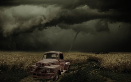 Camisa de força química