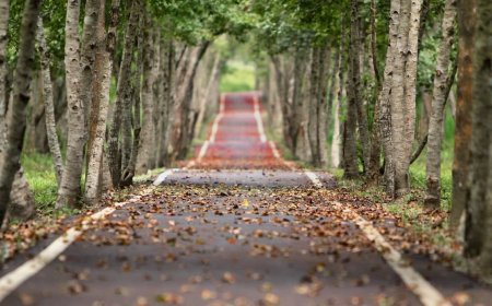 Frio e tempo seco marcarão o outono em Minas