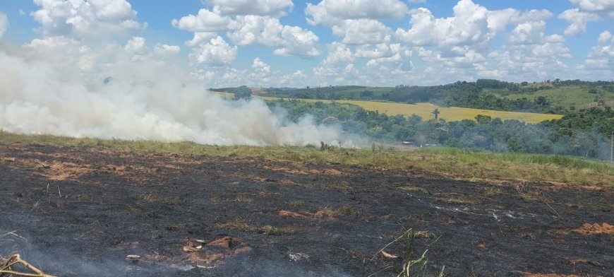 Curto circuito na rede elétrica causa incêndio em vegetação em Guaranésia