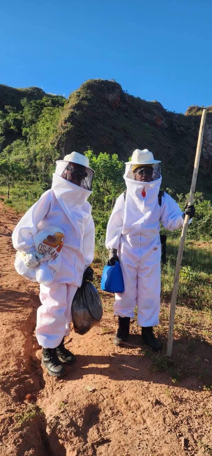 Turistas são resgatados após ataque de abelhas em Monte Santo de Minas