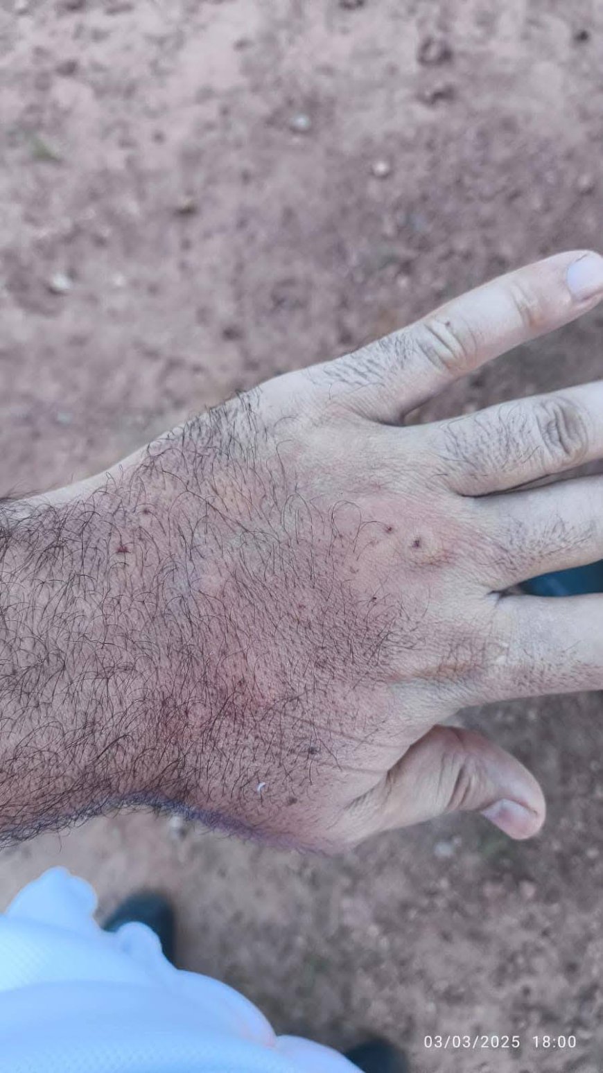 Turistas são resgatados após ataque de abelhas em Monte Santo de Minas