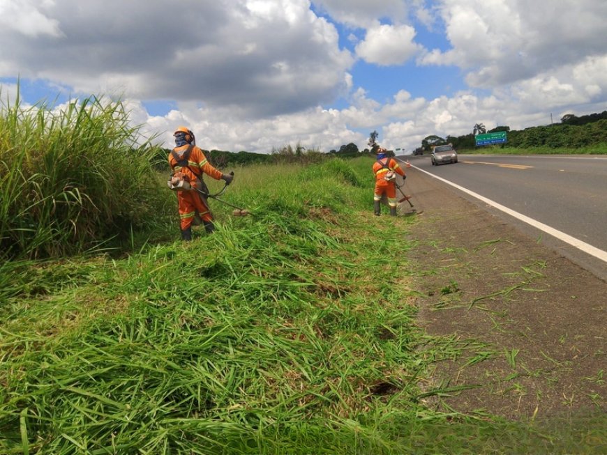 Veja as obras que serão realizadas nesta semana pela EPR em rodovias da região
