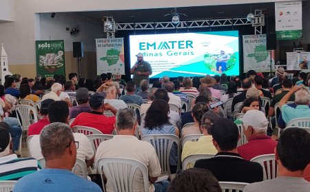 Circuito Mineiro da Cafeicultura 2025 começa nesta quinta-feira