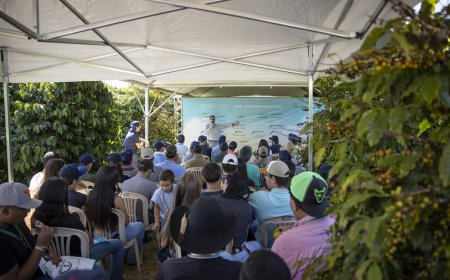 Fundação Procafé confirma calendário dos Dias de Campo 2025