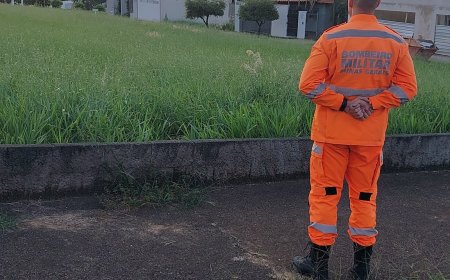 Corpo de Bombeiros fiscaliza lotes com acúmulo de entulho em Guaxupé