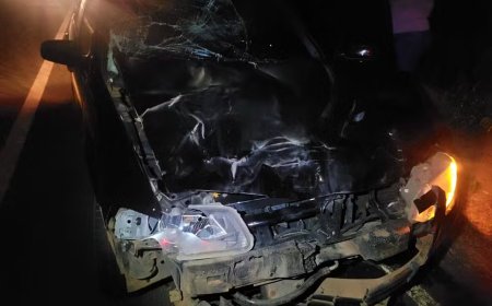 Veículo fica totalmente destruído ao atropelar búfalo na MGC-449, em Arceburgo