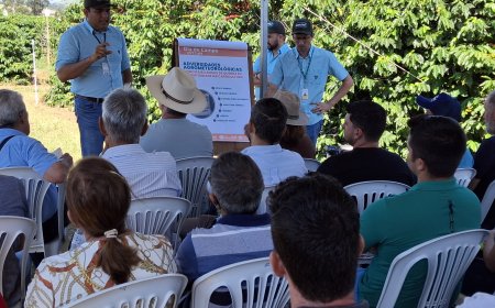 Tecnologia, clima e manejo em pauta no Dia de Campo CVT Café 2025