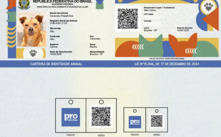 Saiba como funciona o SinPatinhas, novo RG Animal para cães e gatos
