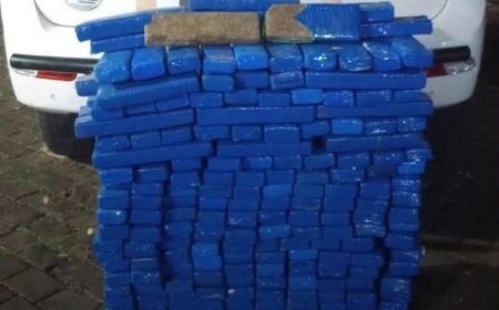 Polícia Militar de SP apreende quase 2 toneladas de maconha que seriam entregues em Paraíso