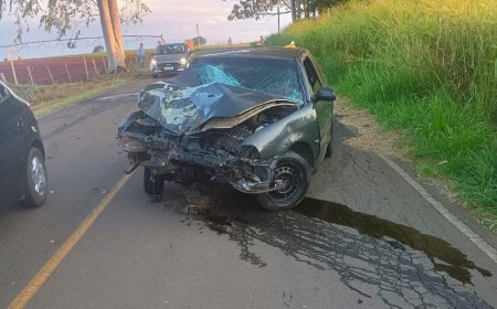Condutora de Tapiratiba bate veículo em árvore na vicinal entre Mococa e Igaraí