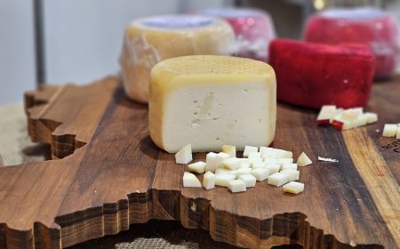 Nova portaria amplia criação de queijos artesanais autorais em Minas Gerais