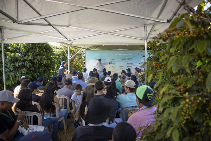 Fundação Procafé confirma calendário dos Dias de Campo 2025