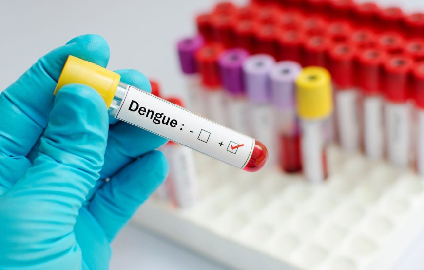 Terceira morte por dengue é confirmada no Sul de Minas e número de casos da doença aumentou em Guaxupé