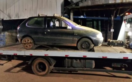 Em Campestre, homens roubam café que ainda estava no pé