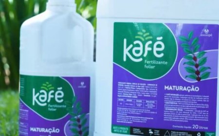 Cooxupé lança Kafé Maturação para colheita uniforme e rentável