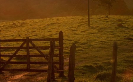 Governo do Estado e Instituto Federal do Sul de Minas abrem inscrições para cursos gratuitos na área do turismo