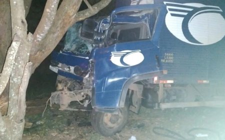 Caminhão bate em árvore após ser fechado por carreta na MG-184, entre Areado e Alfenas