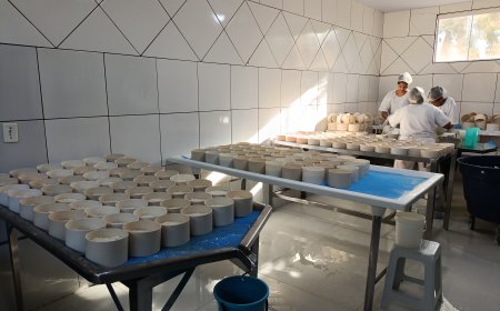 Instituto Mineiro de Agropecuária atualiza decreto que moderniza a inspeção de produtos de origem animal no estado