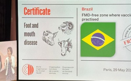 Minas Gerais é reconhecida internacionalmente como livre de febre aftosa sem vacinação