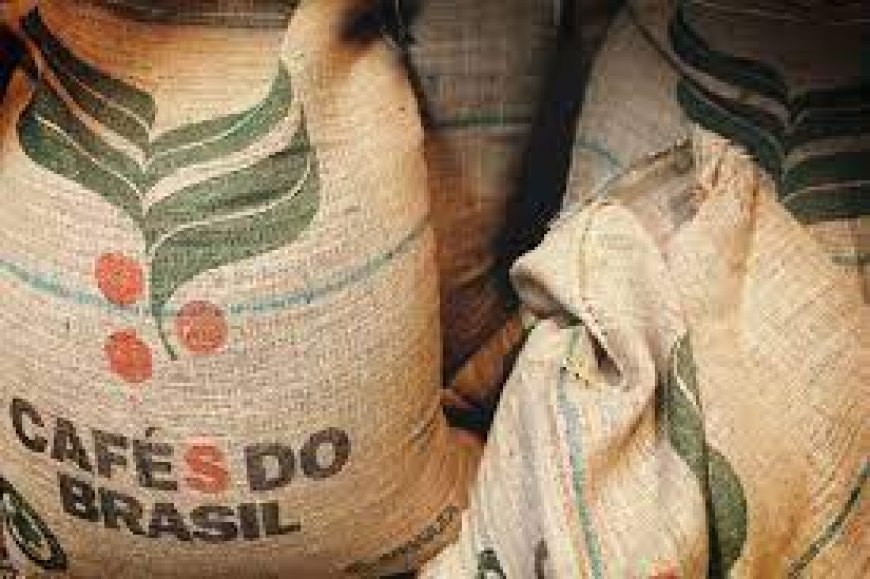 Exportações dos Cafés do Brasil atingem 13,81 milhões de sacas no primeiro quadrimestre de 2025