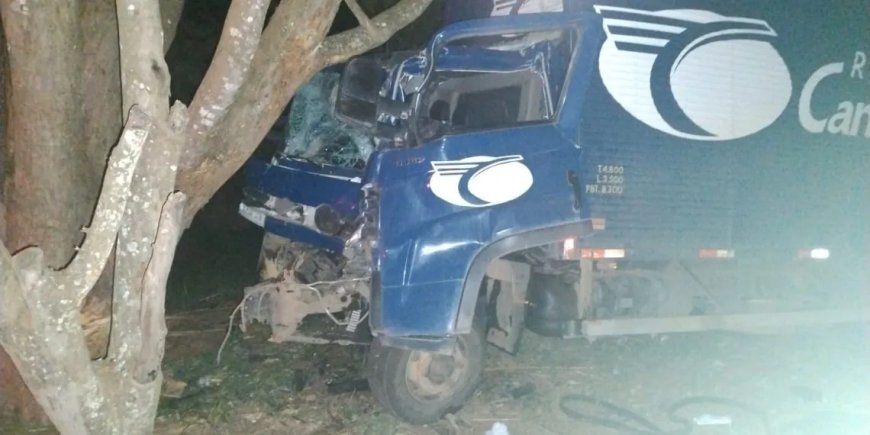 Caminhão bate em árvore após ser fechado por carreta na MG-184, entre Areado e Alfenas