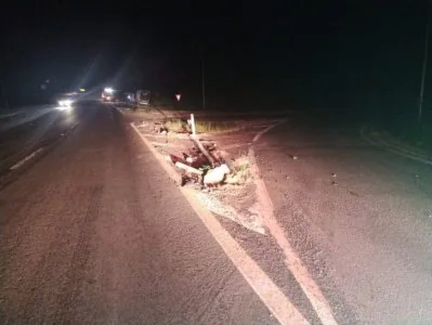 Caminhão bate em árvore após ser fechado por carreta na MG-184, entre Areado e Alfenas