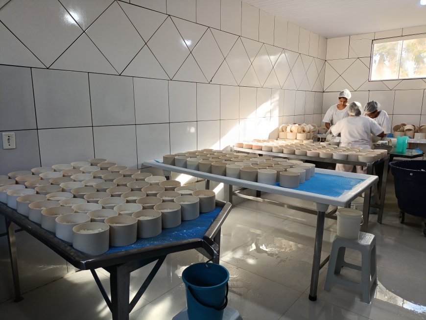 Instituto Mineiro de Agropecuária atualiza decreto que moderniza a inspeção de produtos de origem animal no estado