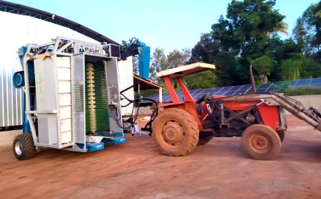 Produtor rural pode financiar novos itens a partir das linhas de crédito do BDMG para a agricultura regenerativa
