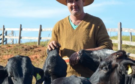 Pecuaristas do Sul de Minas investem na melhoria genética