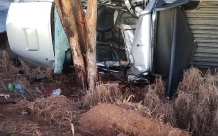 Condutor de 47 anos perde a vida após bater violentamente em árvore na MG-179