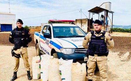 PM impede furto de café e evita prejuízo de mais de R$ 3 mil a produtor no Sul de Minas